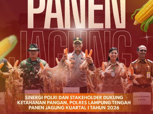 Sinergi Polri dan Stakeholder, Polres Lampung Tengah Panen Jagung Kuartal I Tahun 2026